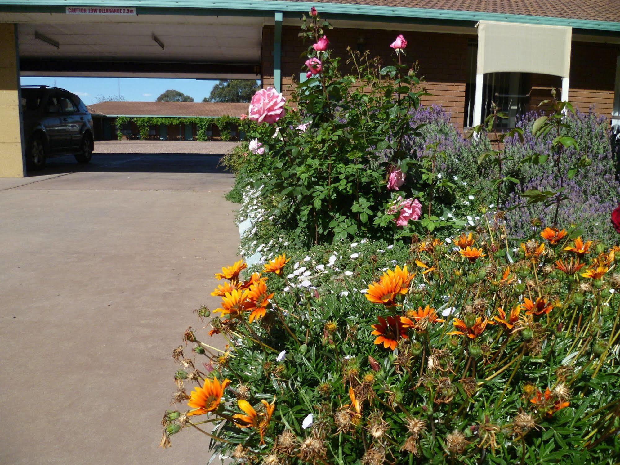 Birch Motel Tocumwal Exterior photo